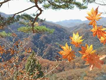 探寻务川历史变迁，揭秘历史上的11月14日务川新篇📜古今交融的过往与今朝揭秘。