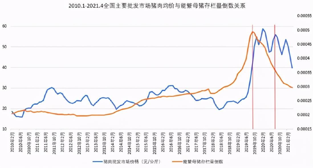 最新冻品价格,一、冻品市场概述