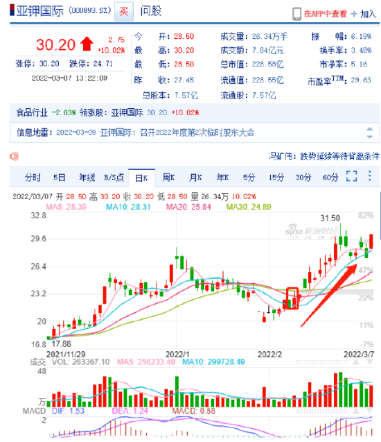 11月7日煤炭股票行情深度解析，最新市场动态与走势洞察