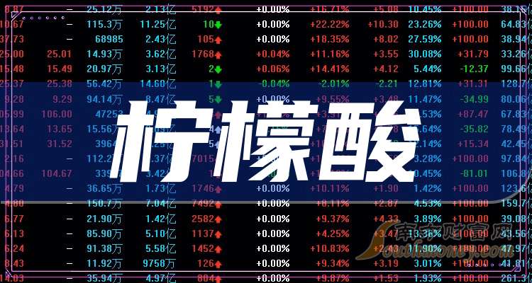 2024年11月独家电影盛宴，大片一网打尽